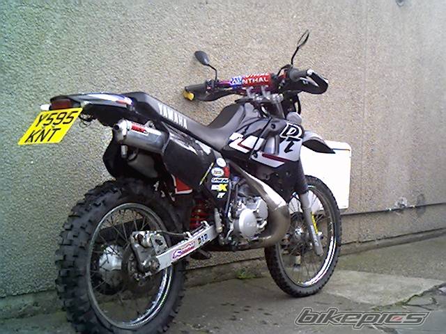 Photo 216471