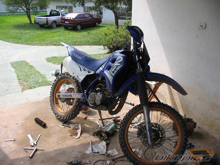 Photo 216495