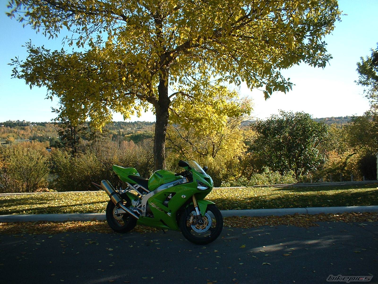 Photo 216505