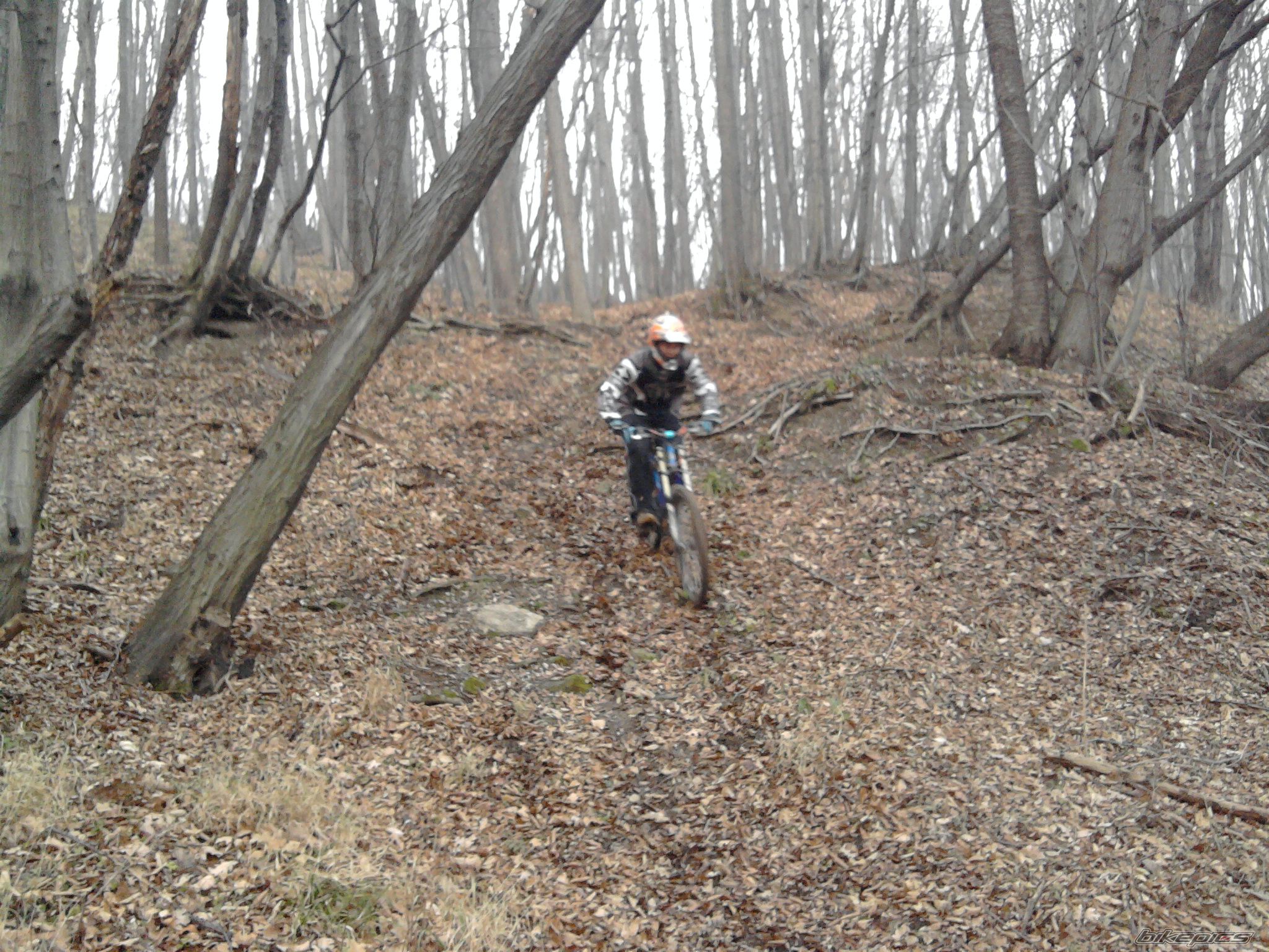 Photo 2165075