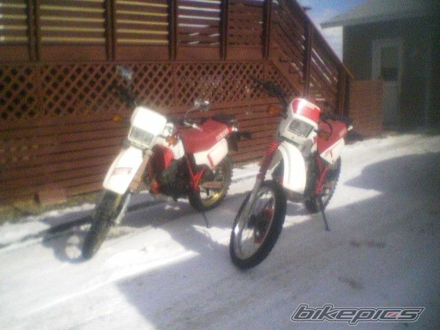 Bike Photo 2165082