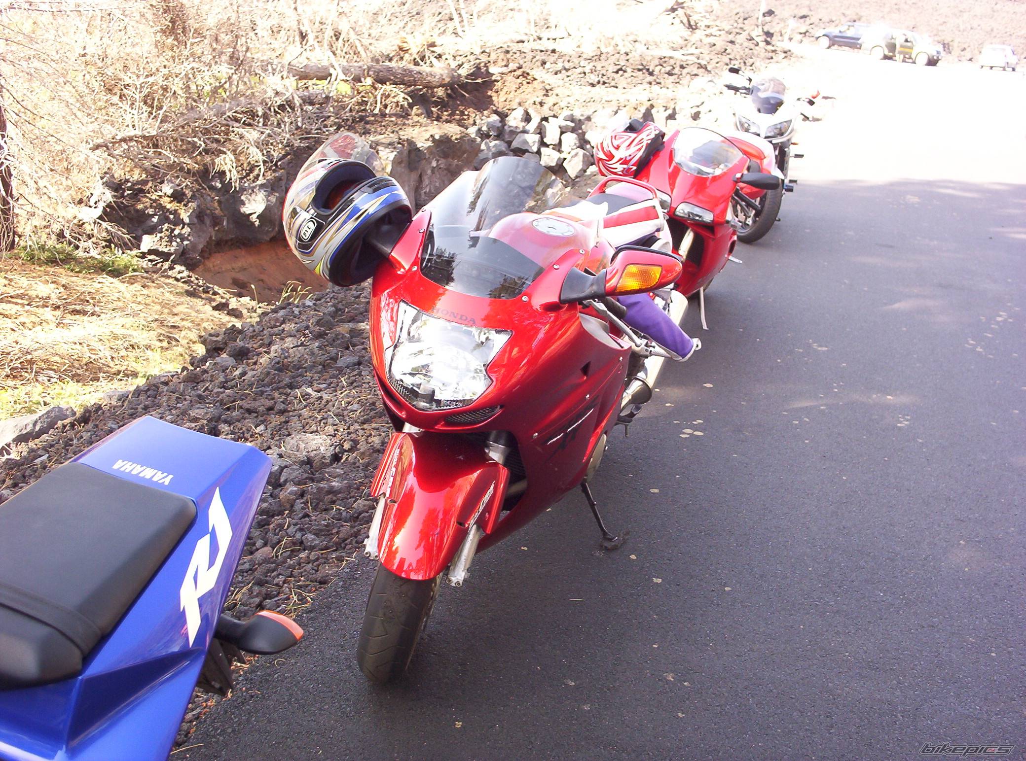 Photo 216514