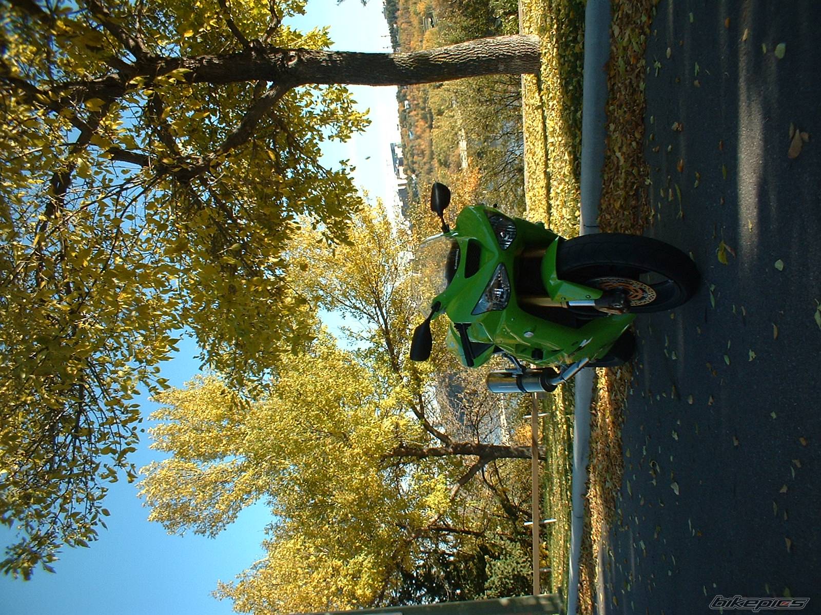 Photo 216517