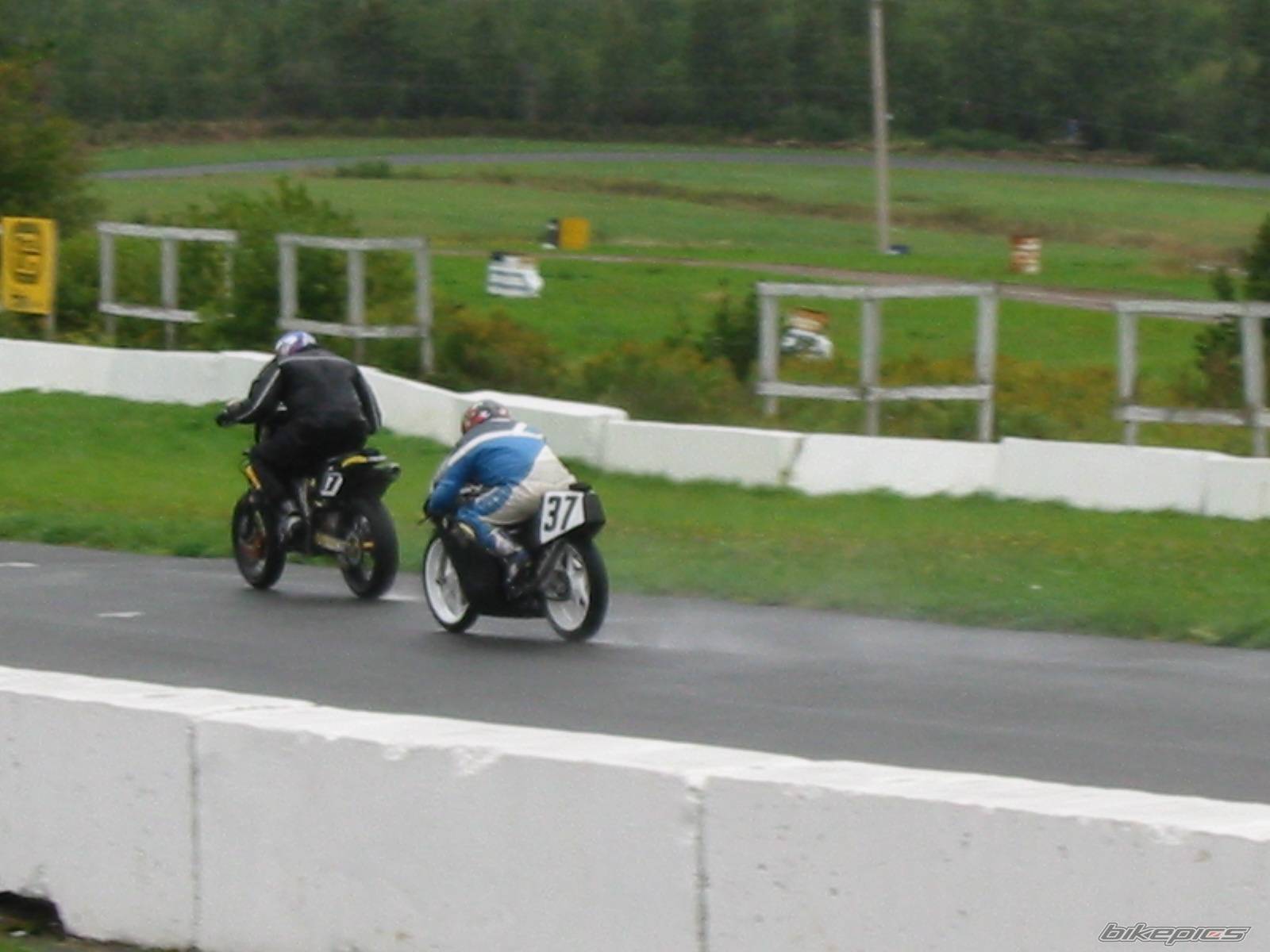Photo 216537
