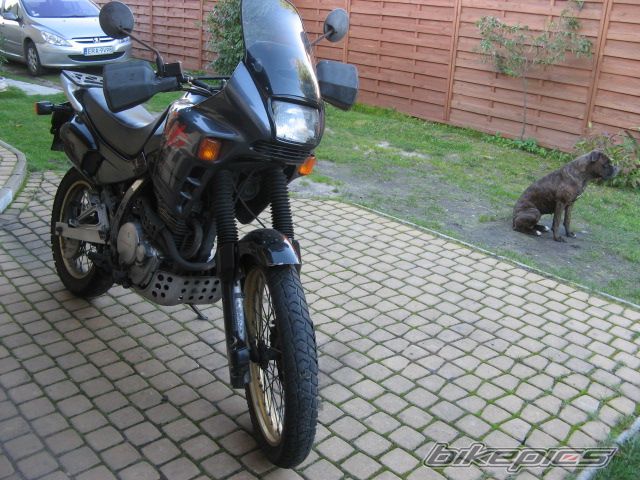 Photo 2165445