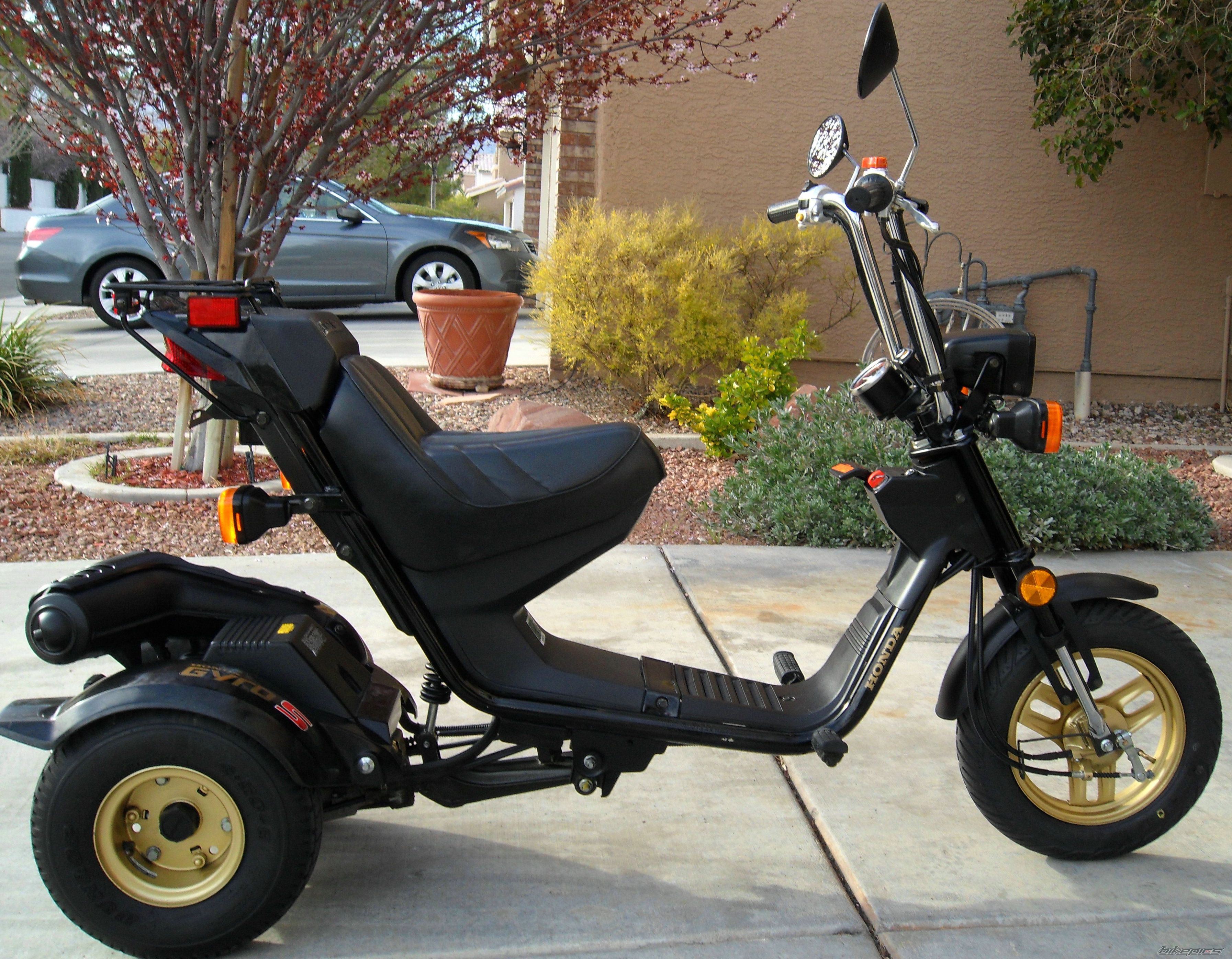 Gyro 50