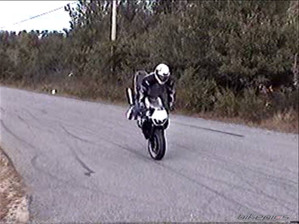 Photo 216577
