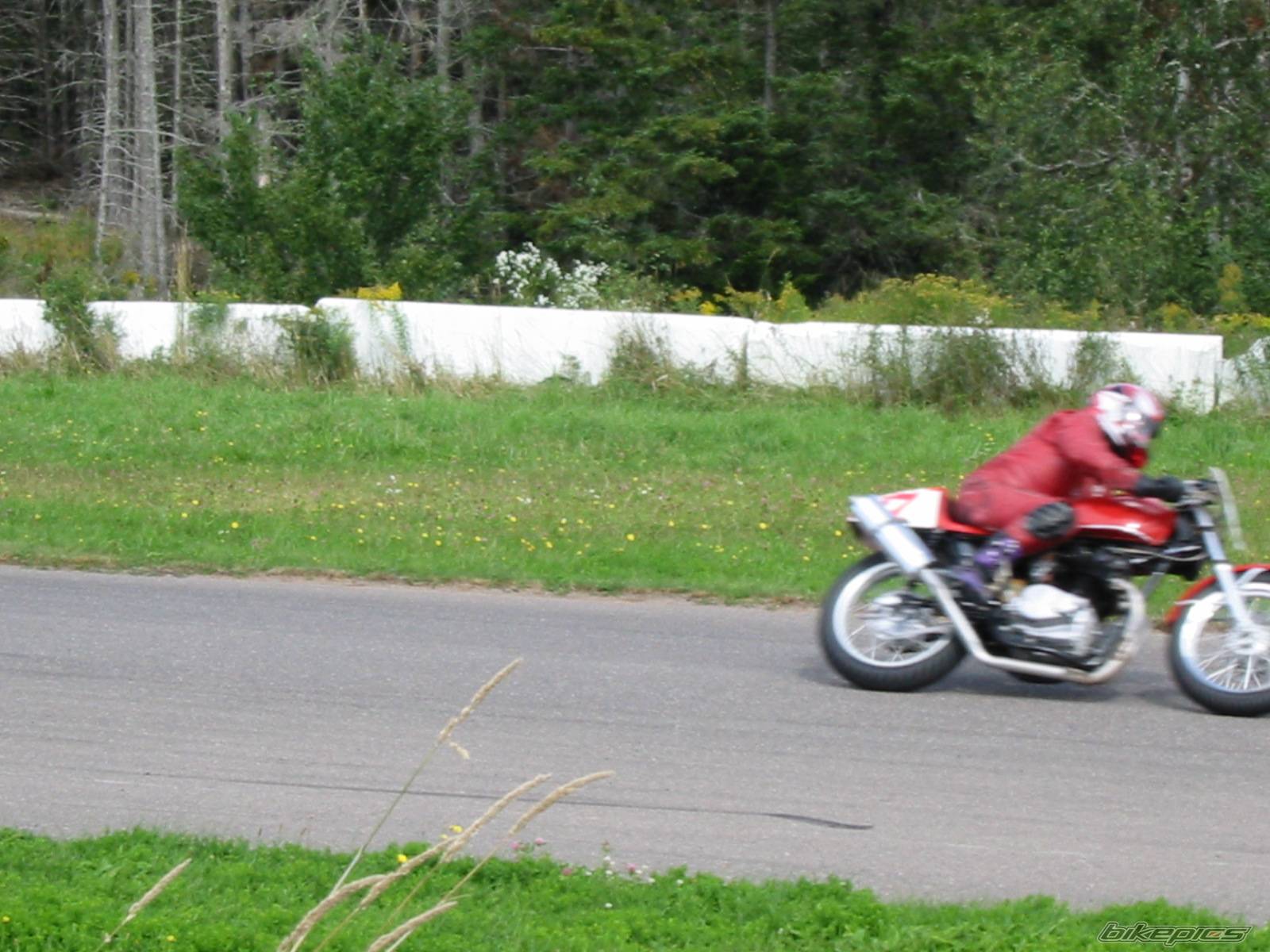 Photo 216587