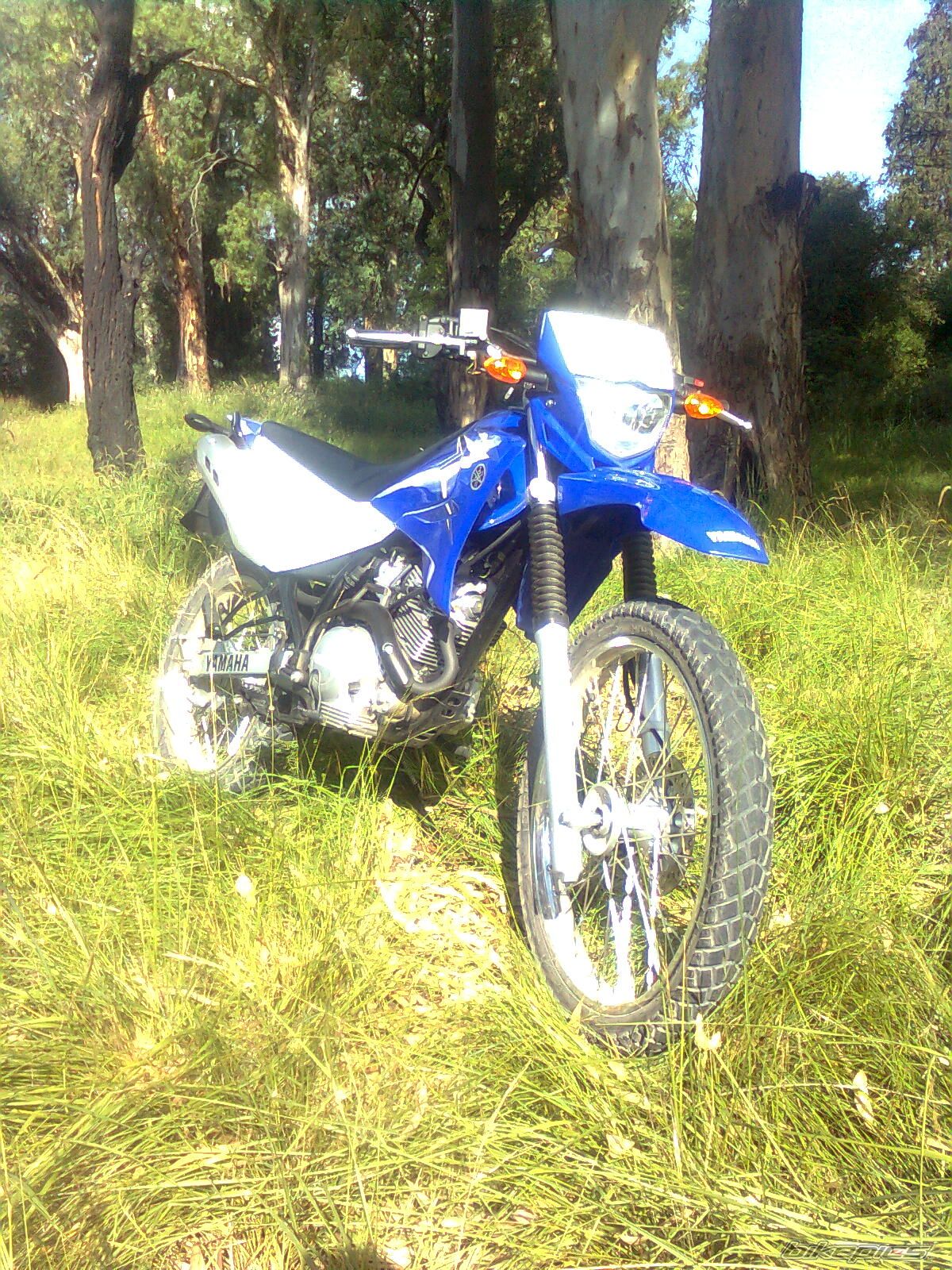 Photo 2166071