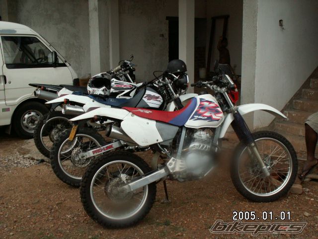 Photo 2166087