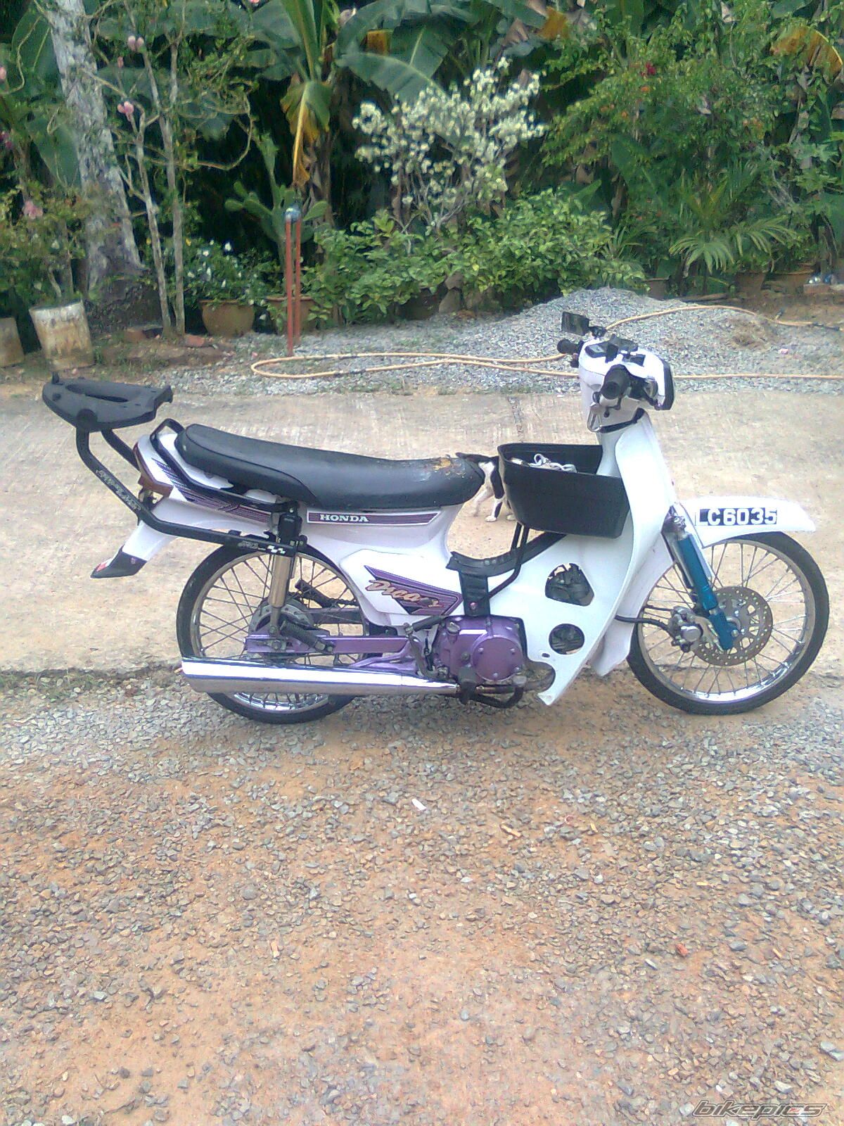 Photo 2166431