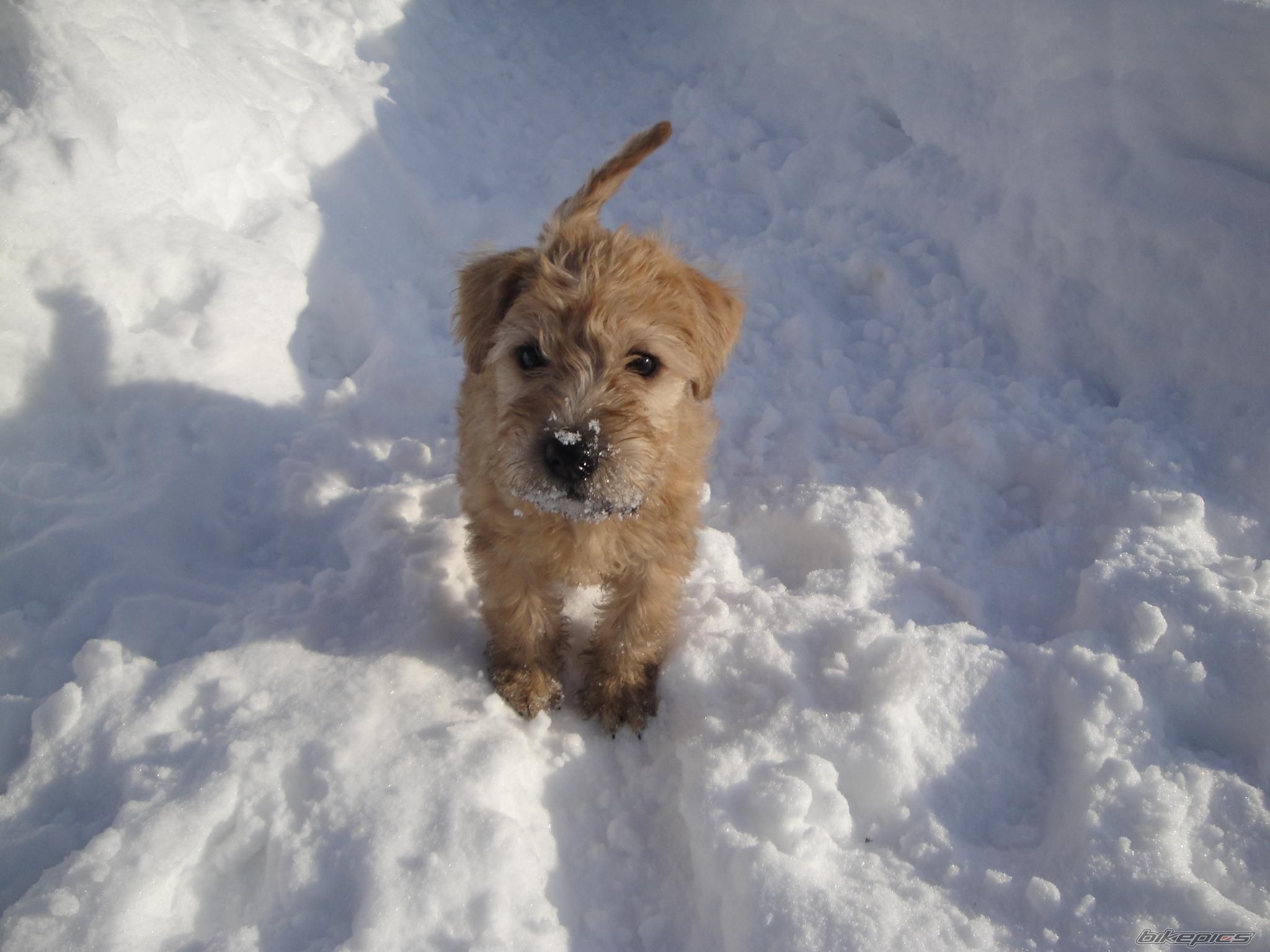 Photo 2166712