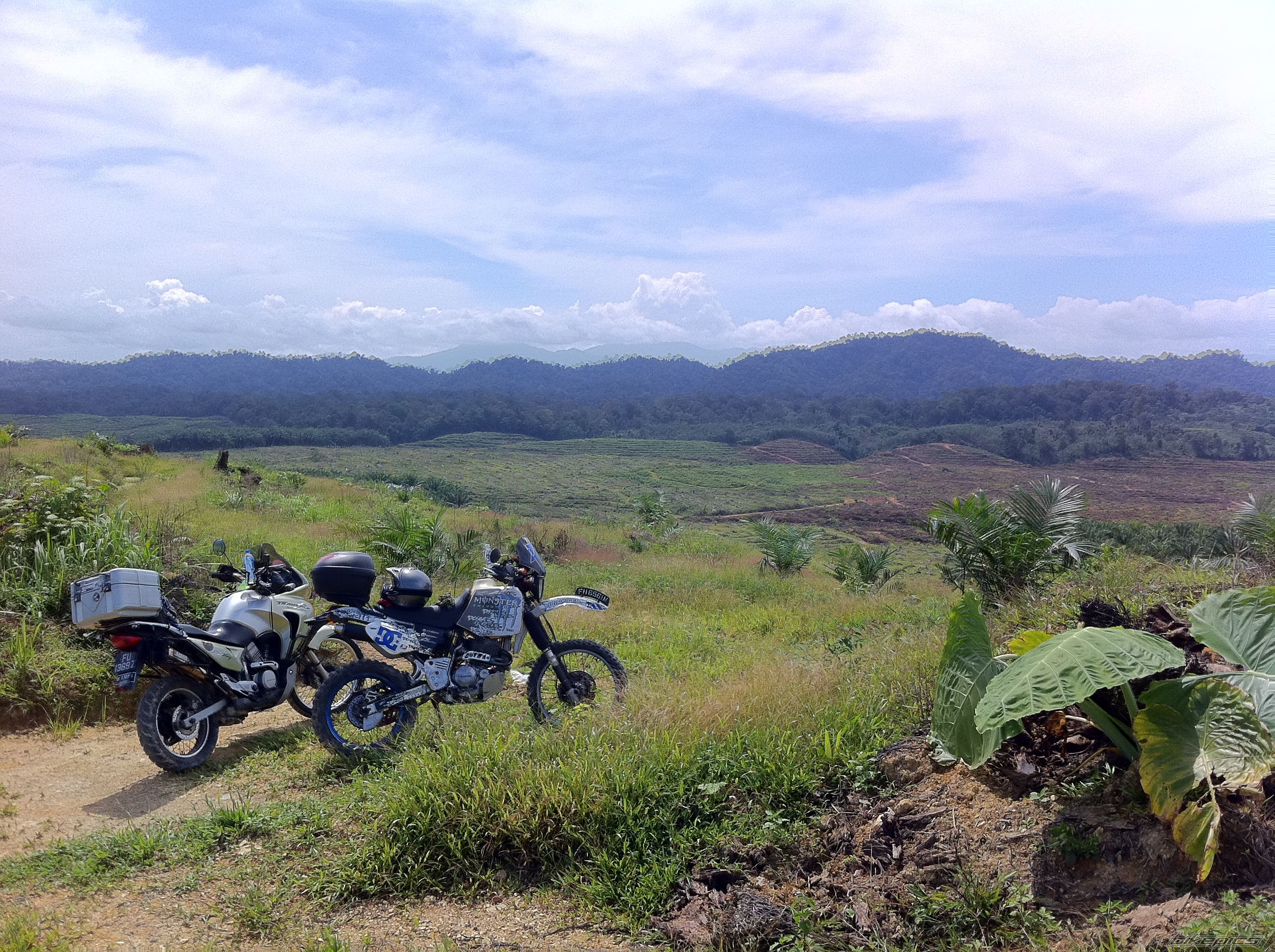 Photo 2167198