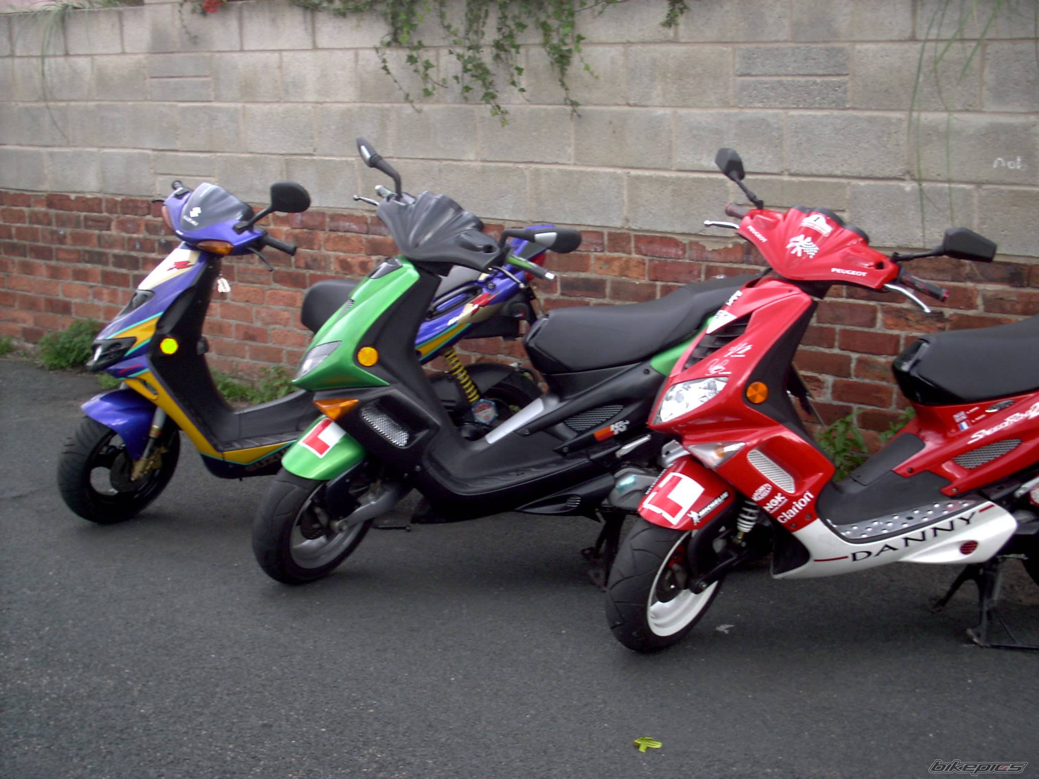 Photo 216797