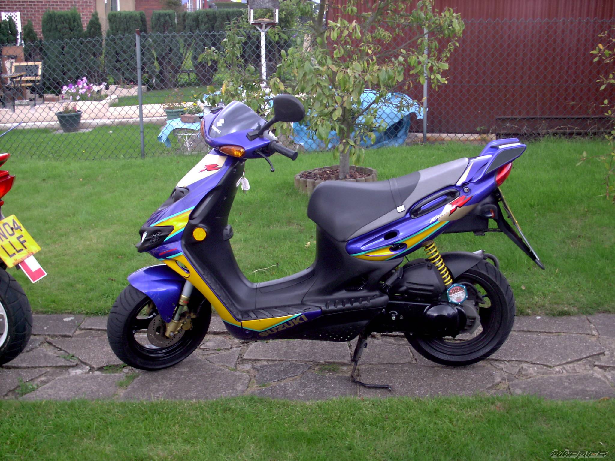 Photo 216801