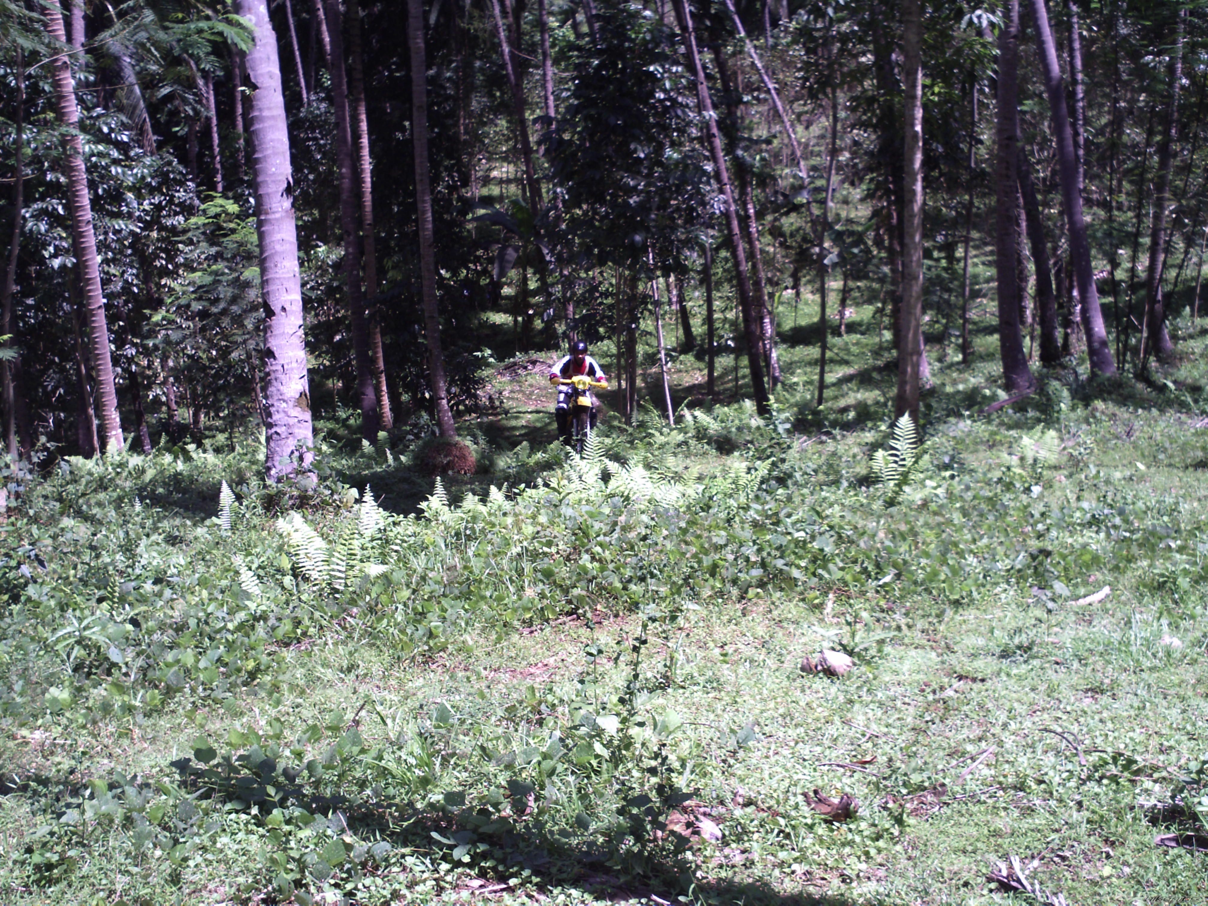 Photo 2168104