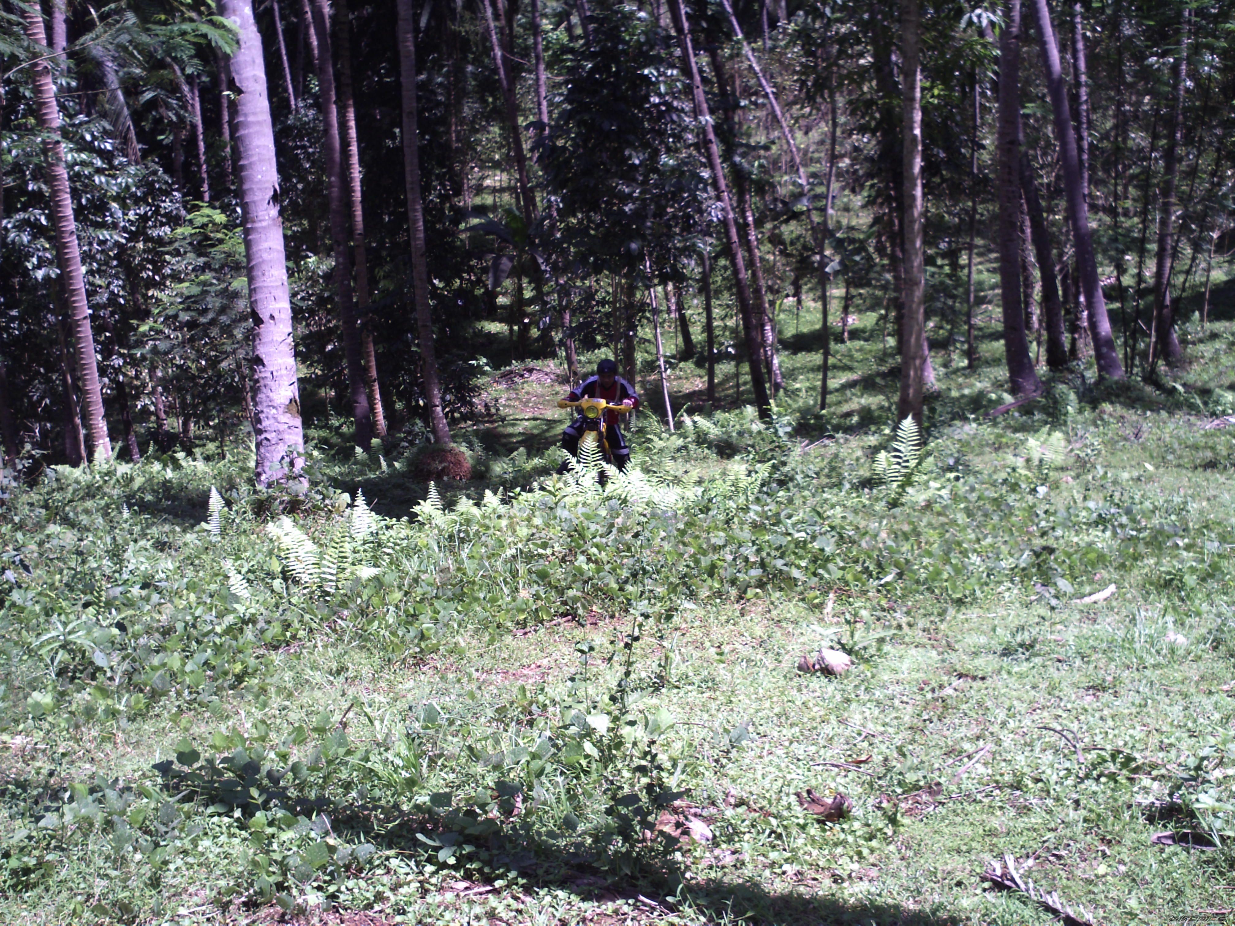 Photo 2168105