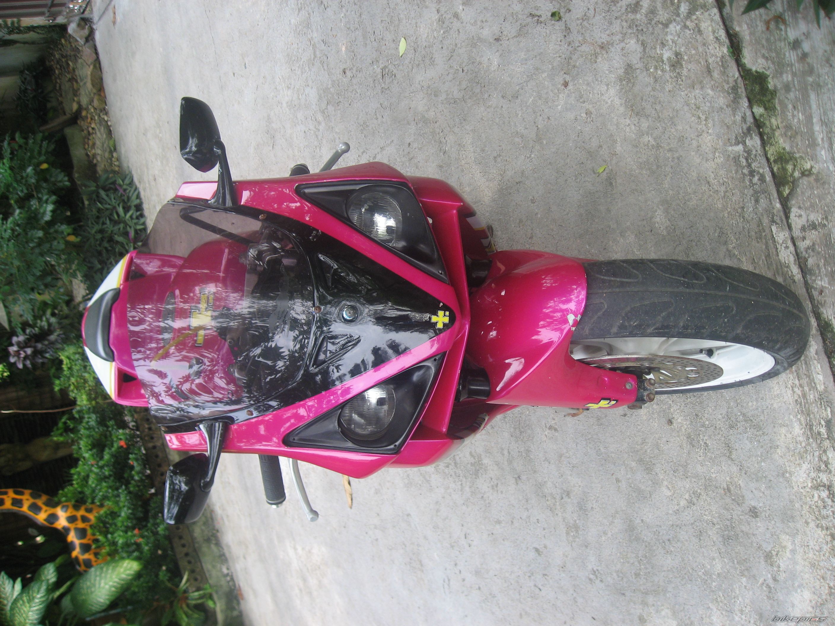 Photo 2168195