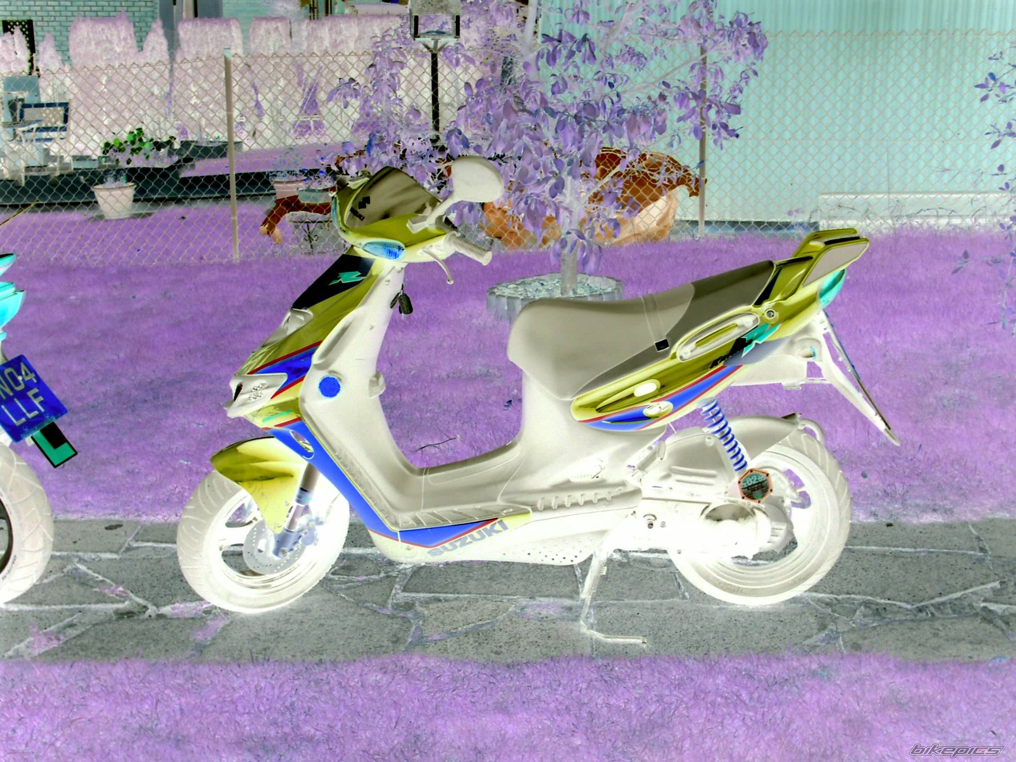 Photo 216835