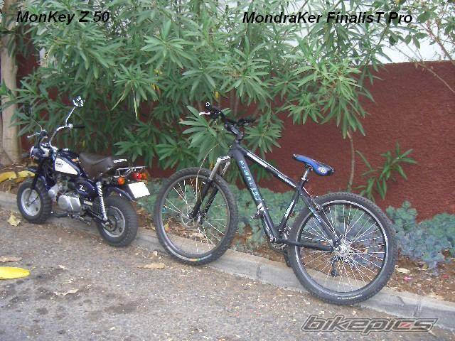Photo 216846