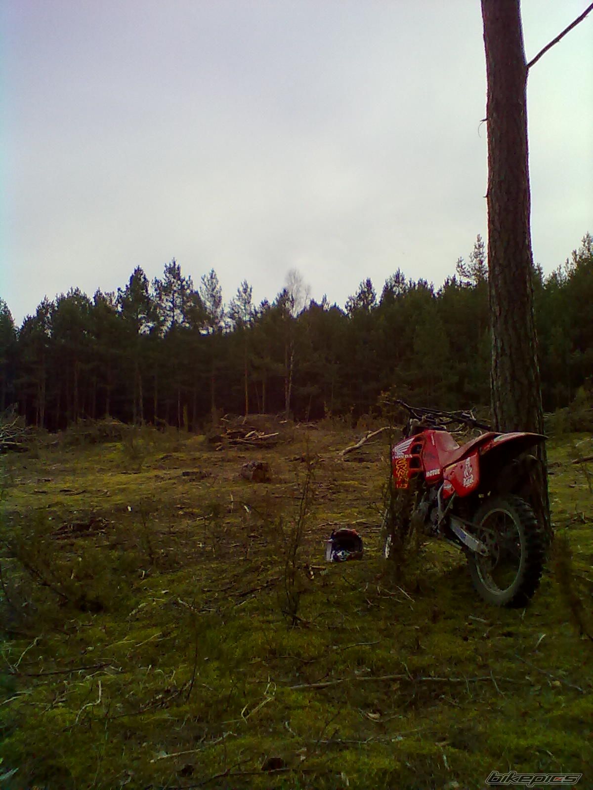 Photo 2168491