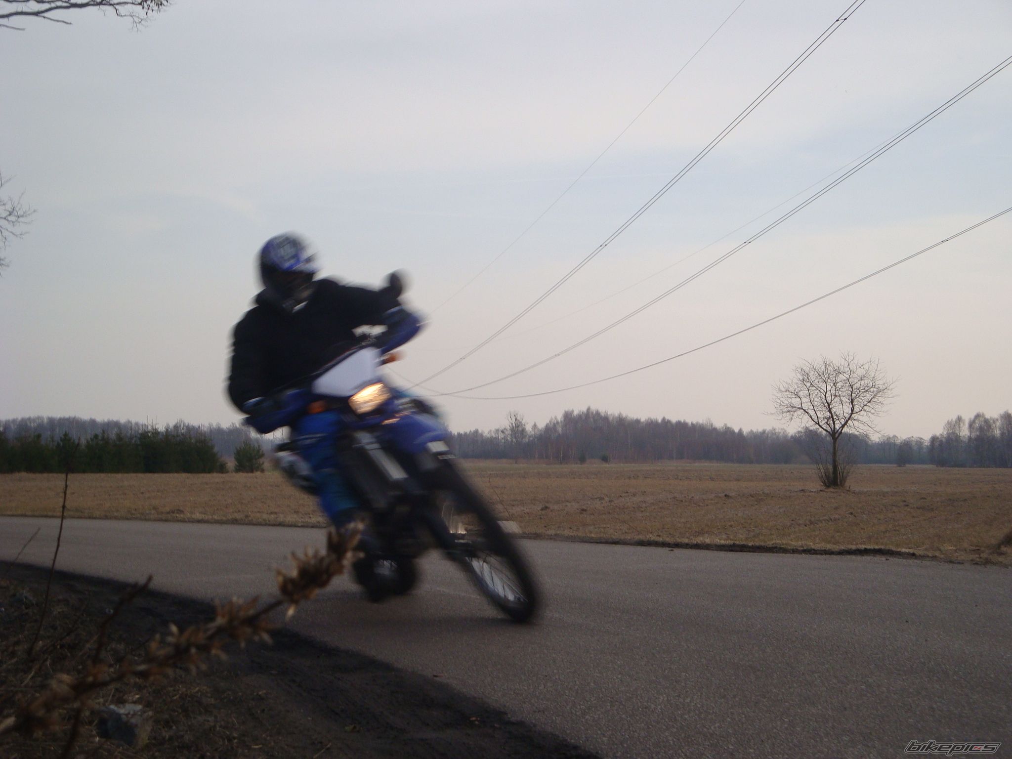 Photo 2168604