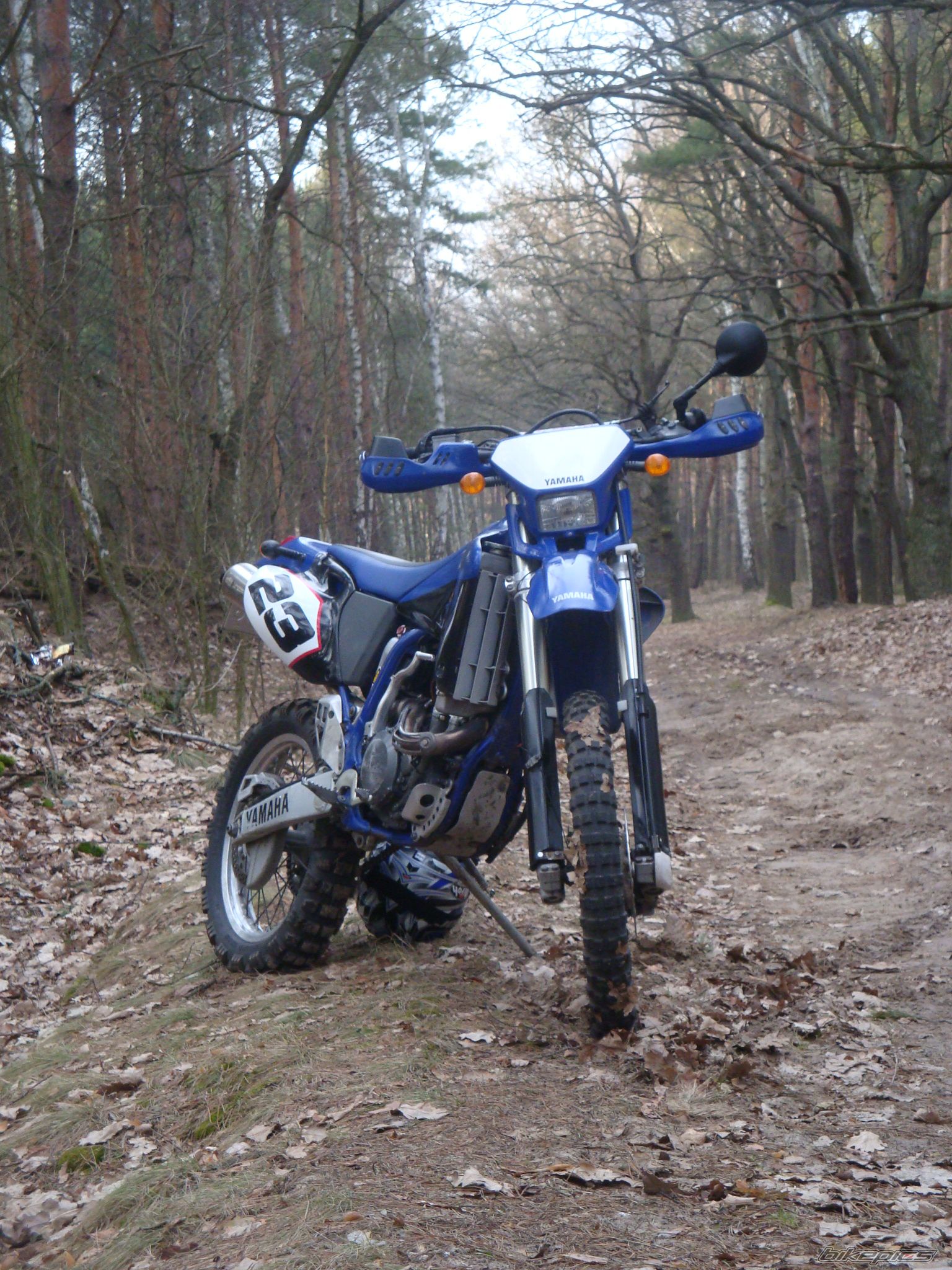 Photo 2168607