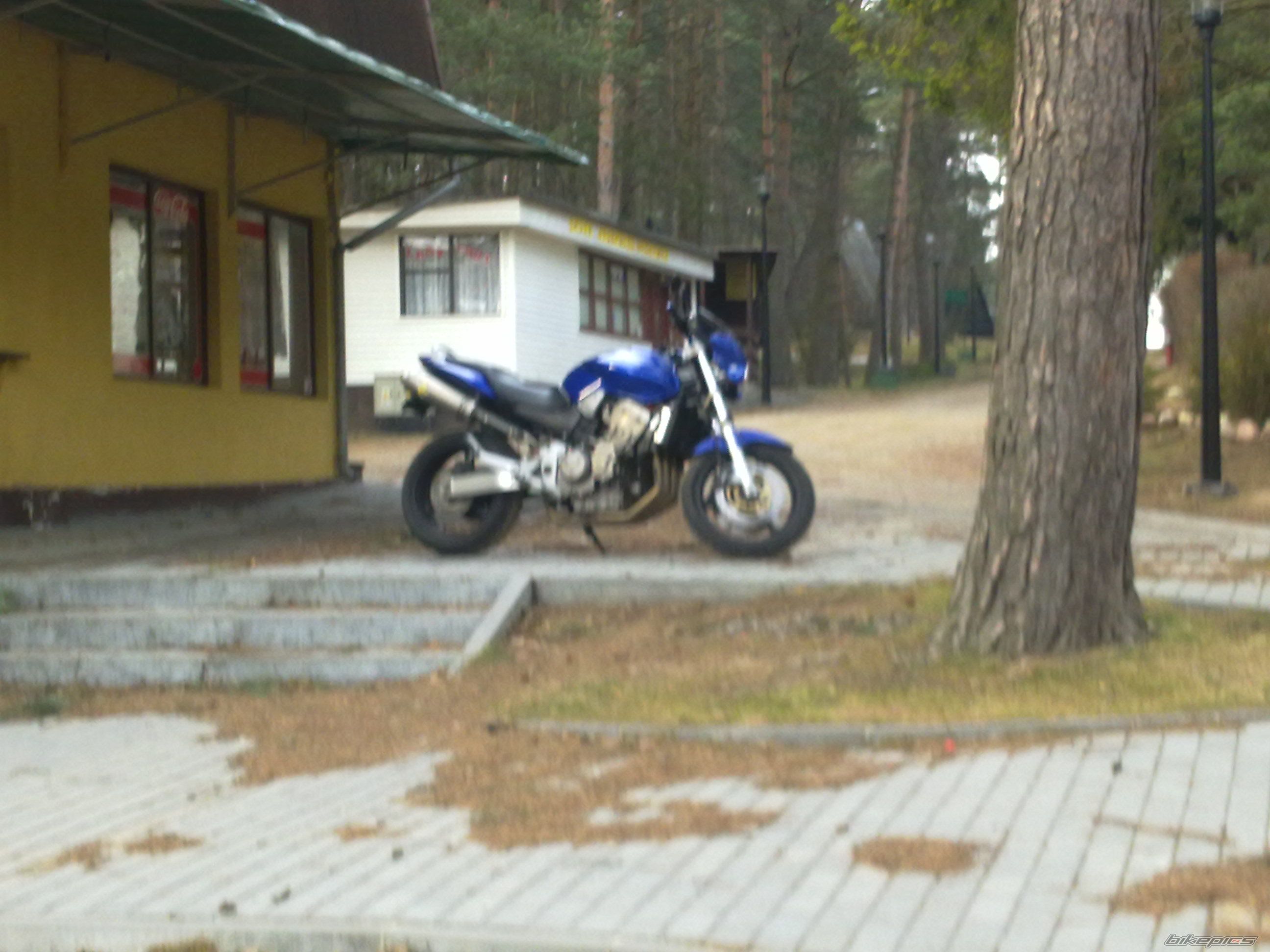 Bike Photo 2168769