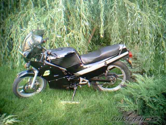 Photo 216908