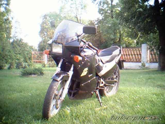 Photo 216913