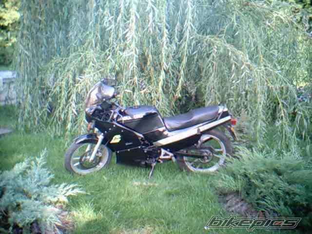 Photo 216917