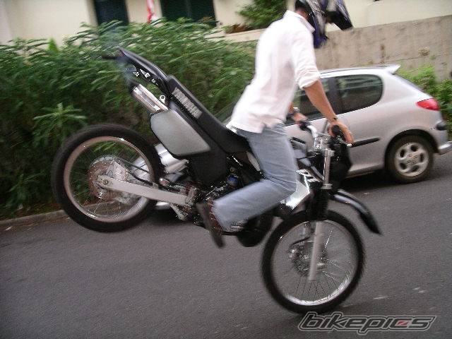 Photo 216944