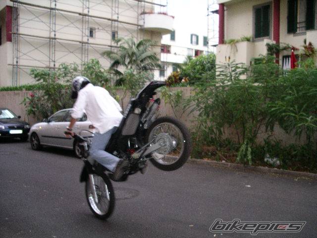 Photo 216945