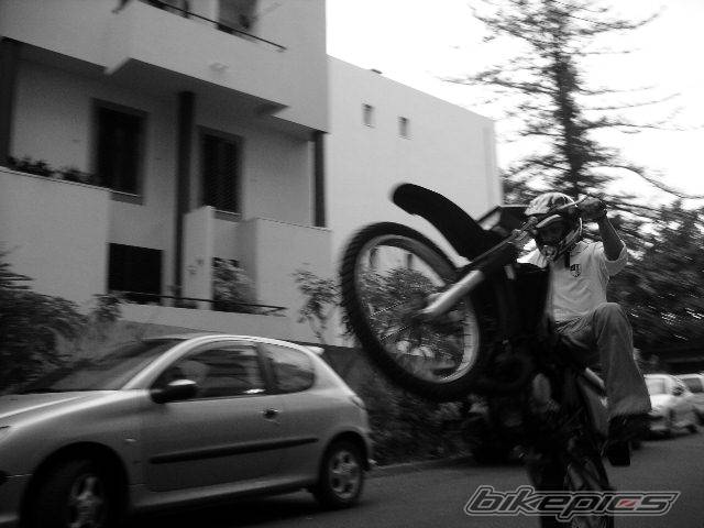 Photo 216947