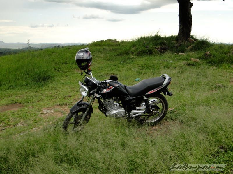 Photo 2169475