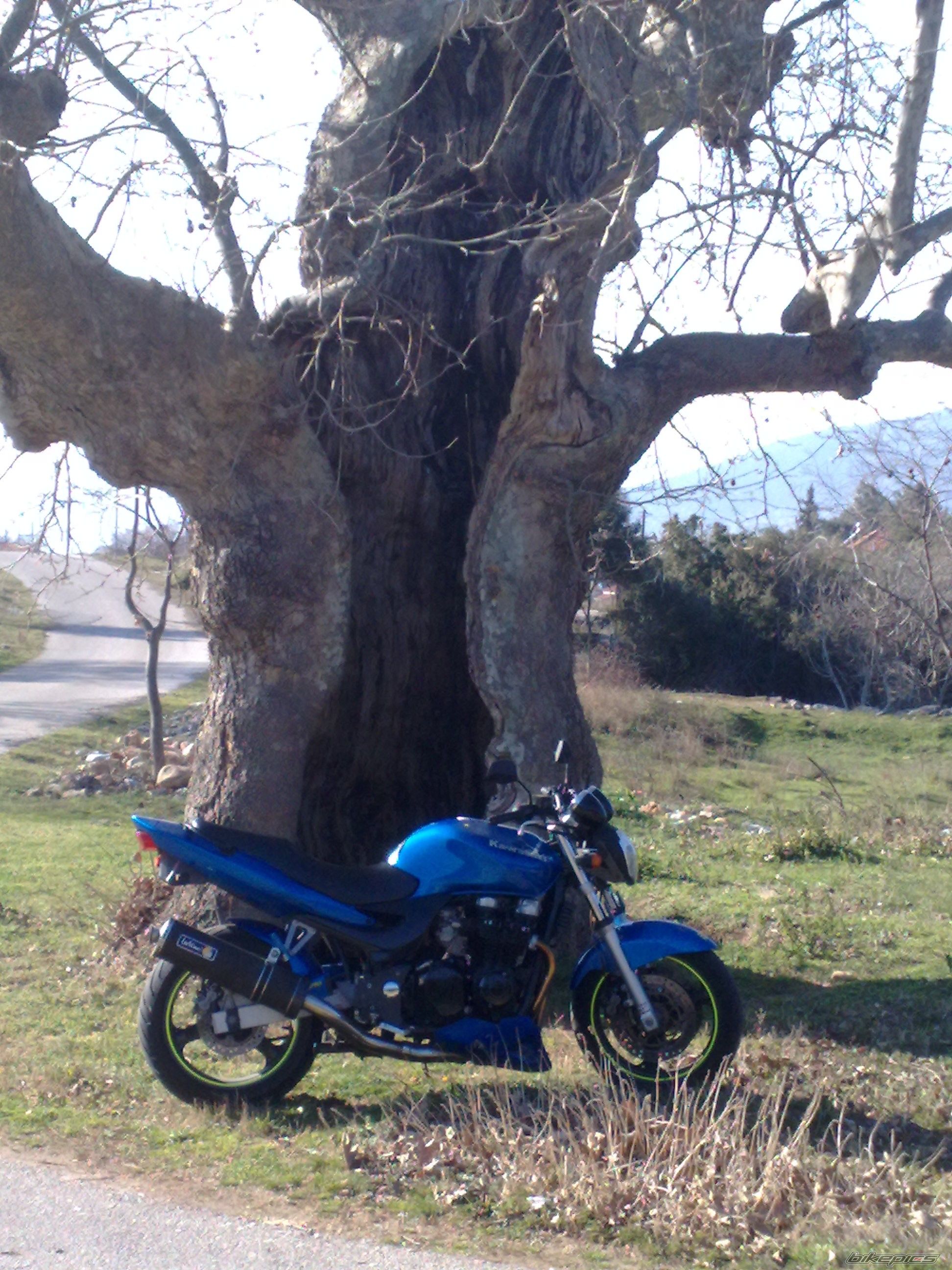 Photo 2169522