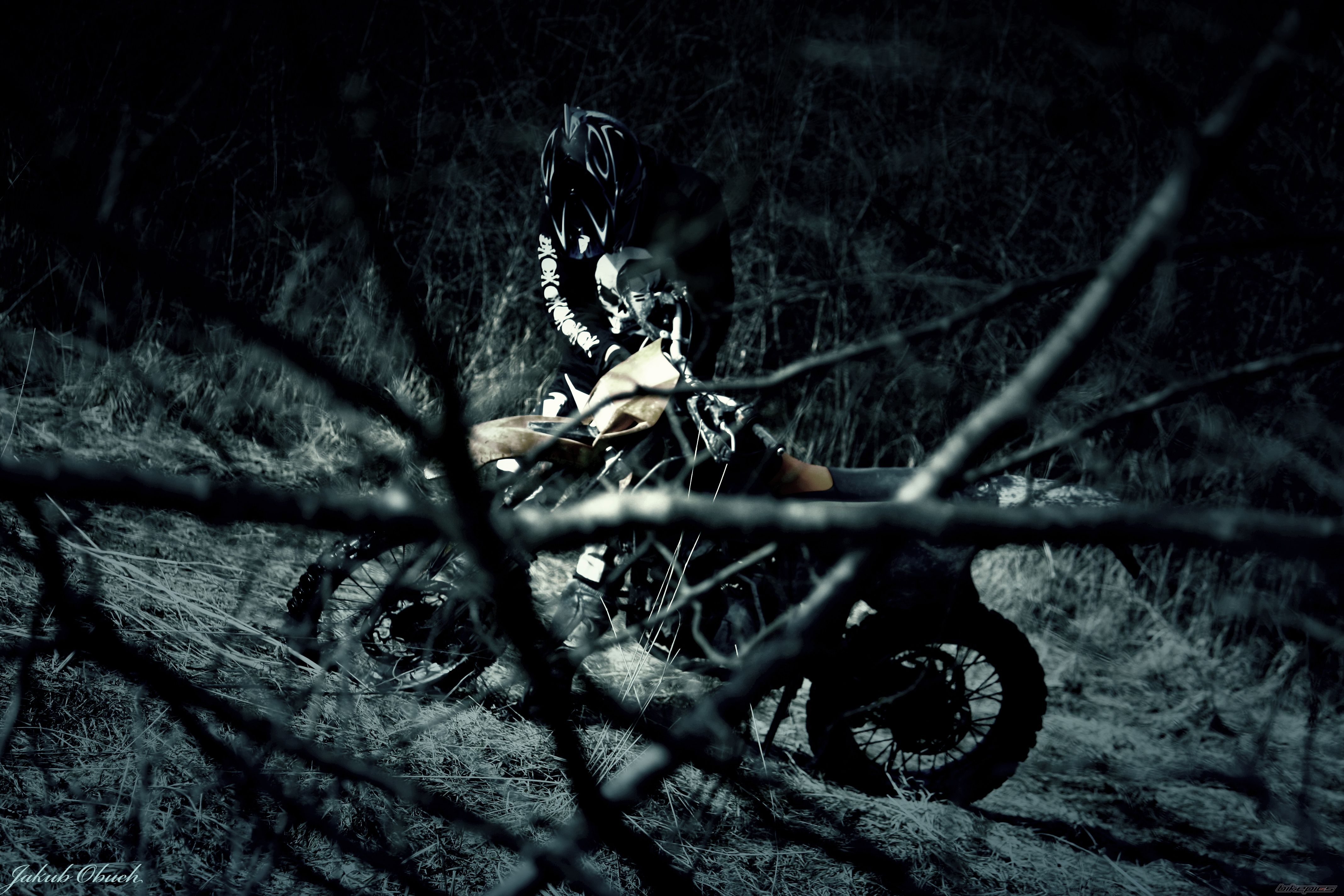 Photo 2169613