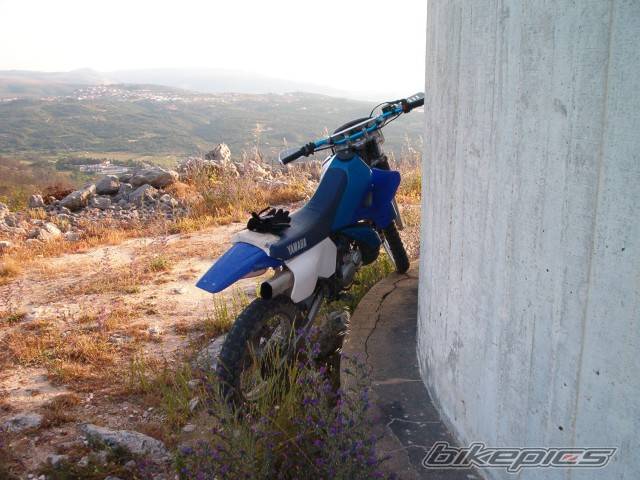 Photo 216966