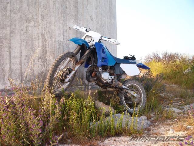 Photo 216967