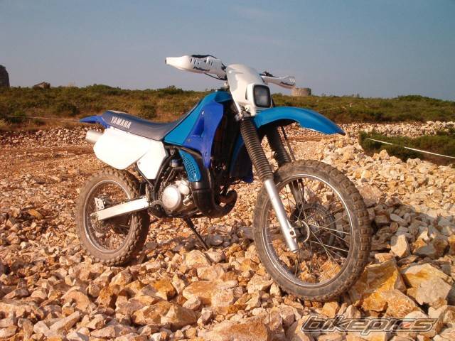Photo 216968