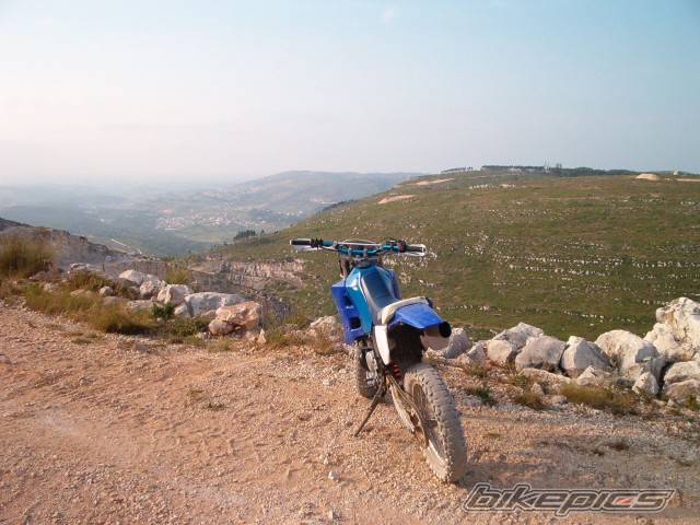 Photo 216969