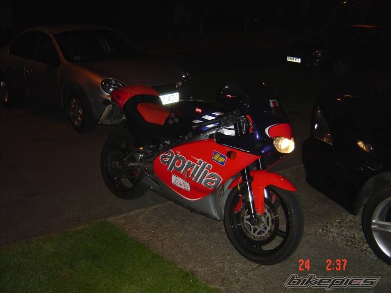 Photo 216986