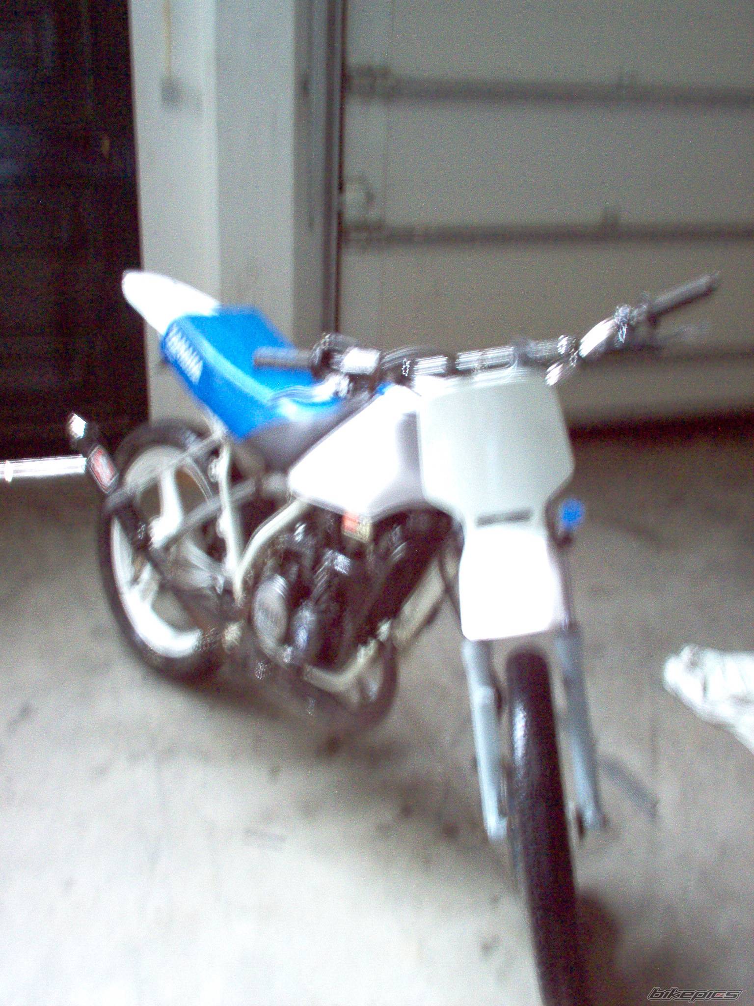 Photo 216996