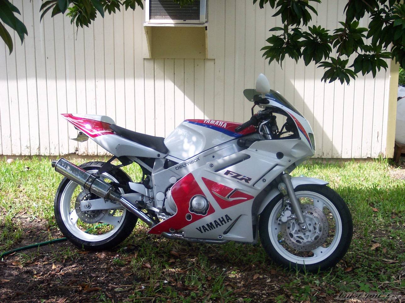 Bike Photo 217004
