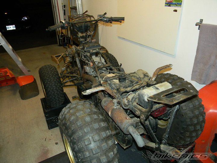 Photo 2170452