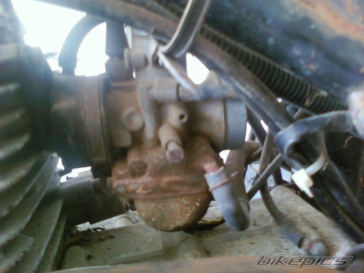 Photo 2170457