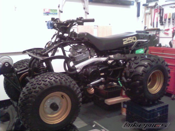 Photo 2170465