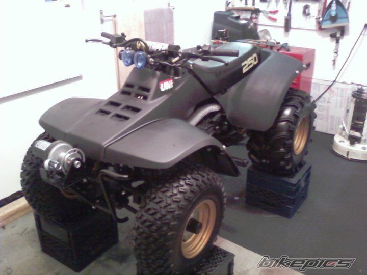 Photo 2170468