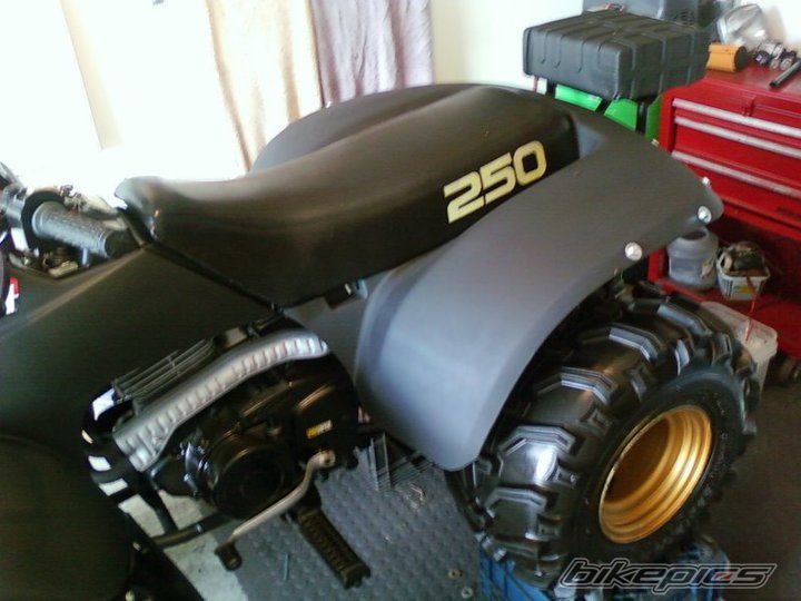 Photo 2170469