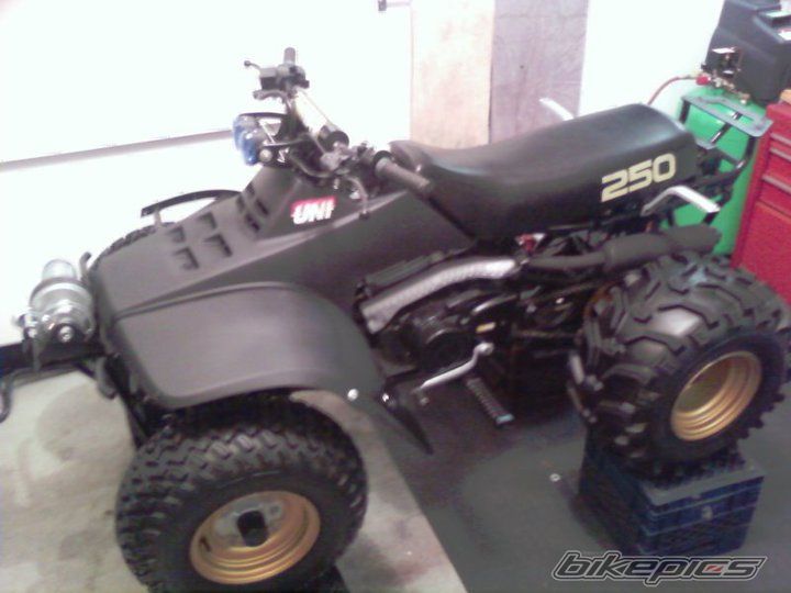 Photo 2170470